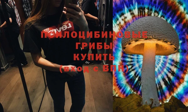 амф Заволжье