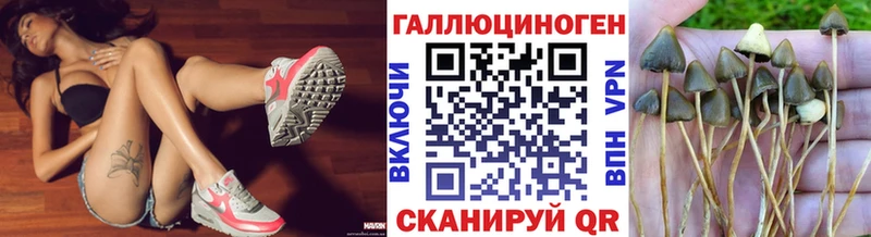 Псилоцибиновые грибы мухоморы купить наркотики цена Мурманск